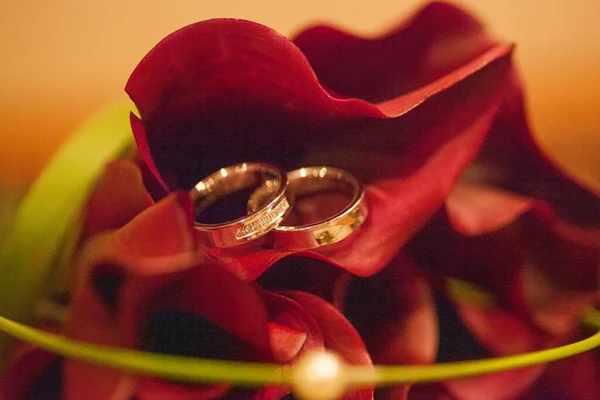 Wedding rings on red callas background — Stock Photo, Image