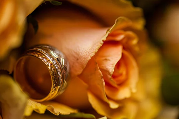 Wedding rings on pink roses background — Stock Photo, Image