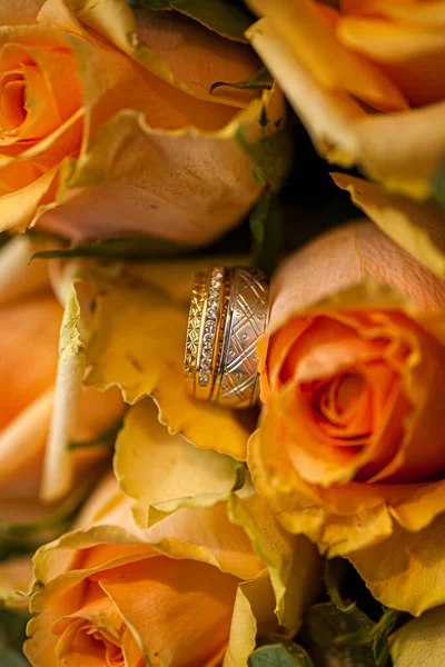 Anéis de casamento em rosas rosa fundo — Fotografia de Stock