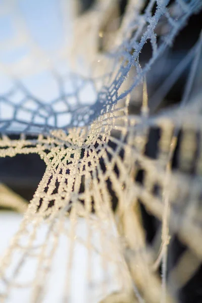 Uma teia de aranha coberta por geada gelada — Fotografia de Stock