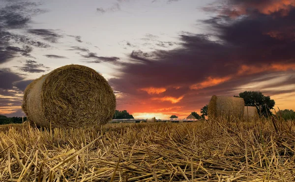 Dramatic sunset sky over hay field in the Kempen area, Belgium — Stock Photo, Image