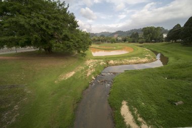 Çayırdaki yeşil çayırda mavi gökyüzü olan küçük bir nehir.