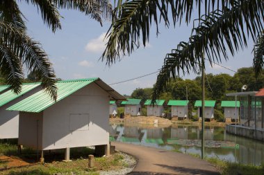 Şehrin güzel manzarası.