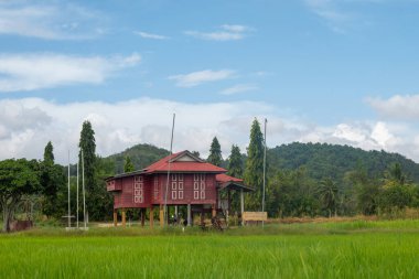 Alor Star, Kedah Malezya 'da geleneksel Malezya evi ve günbatımı ile birlikte dağın arka planında güzel bir pirinç tarlası