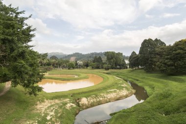 Çayırdaki yeşil çayırda mavi gökyüzü olan küçük bir nehir.