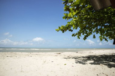 Sakom Sahili, Thepha Bölgesi, Songkhla Eyaleti, Güney Tayland Gökyüzü ve mavi deniz üzerinde güzel, sessiz bir sahil.