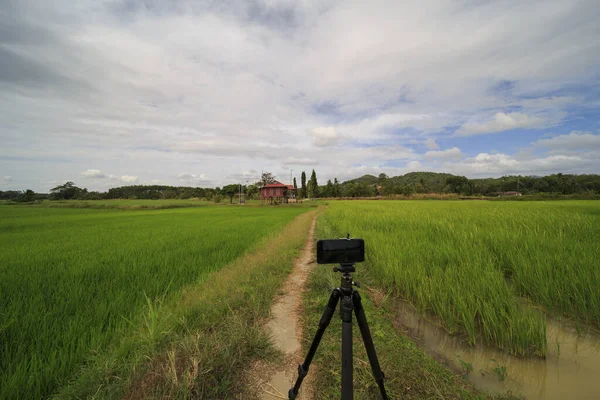 Smartphone Camera Capture Beautiful Scenery Green Paddy Field Mountains Clouds — Stock Photo, Image