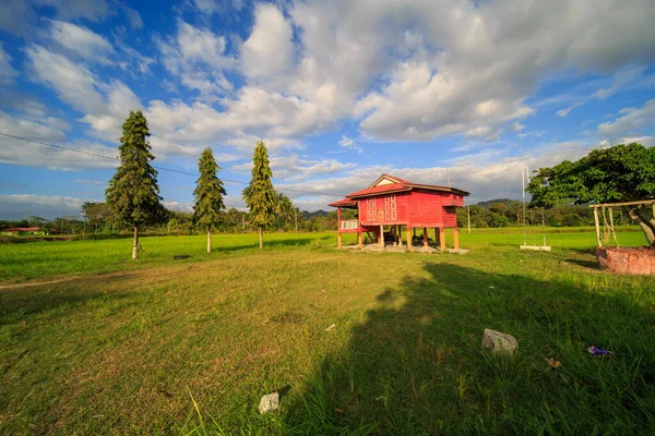 Красивое Степное Рисовое Поле Горном Фоне Традиционным Малайским Домом Закатом — стоковое фото