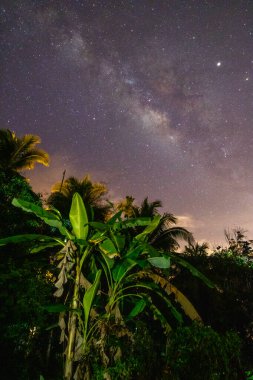 Alor setar kedah Malezya 'da Samanyolu ile yıldızlı bir gece. Görüntü geniş açıklık ve uzun pozlama nedeniyle yumuşak odak ve bulanıklık içerir. resim ayrıca yüksek ISO nedeniyle tanecikler ve gürültü içerir.