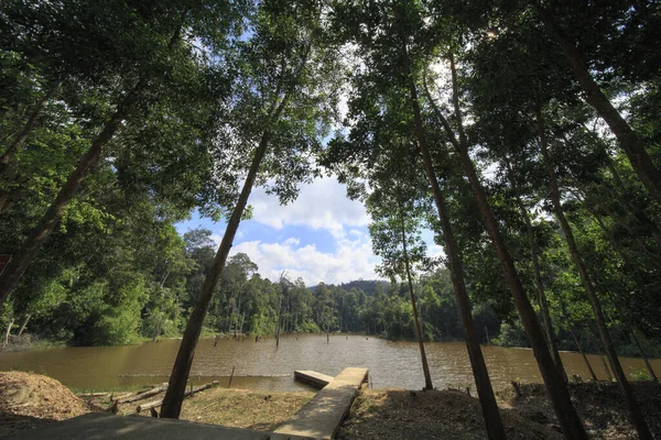 Дикий Природный Парк Лес Река Озеро Зеркальными Отражениями Чистой Водой — стоковое фото