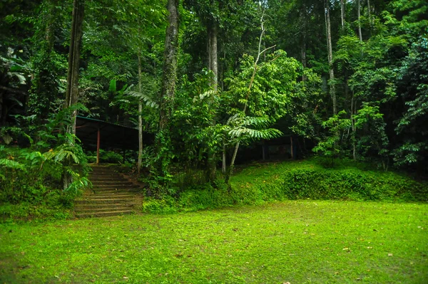 Betong Thailand Oct 2010 Area Popular Piyamit Tunner Betong Thailand — Stock Photo, Image