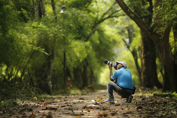 Jeune Femme Avec Sac Dos Marchant Forêt — Photo