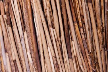 Bambu dokusu arkaplanı