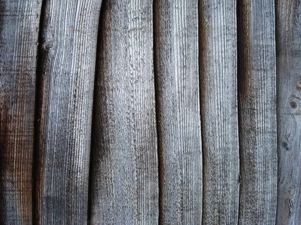 나무 벽 판넬 텍스처 — 스톡 사진