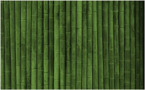 Bambu dokusu arkaplanı