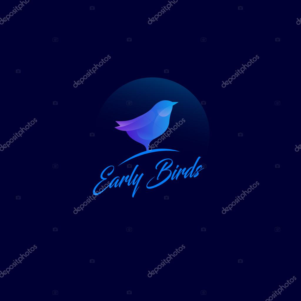 Blue bird, isolated on the dark background.