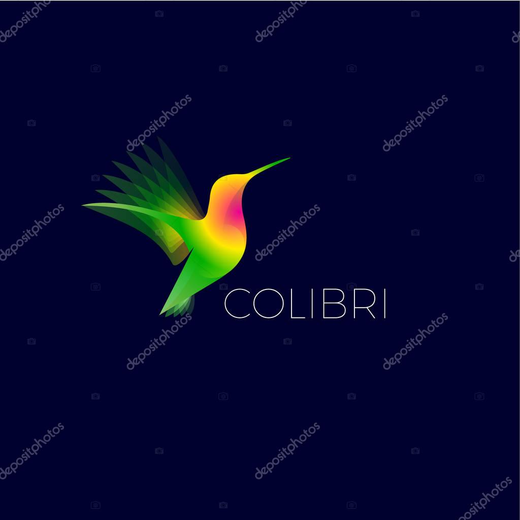 Two colorful hummingbirds on dark  background.