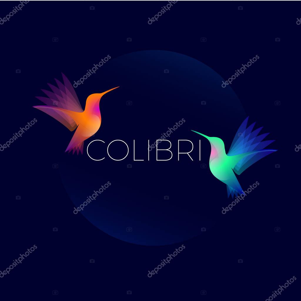 Two colorful hummingbirds on dark  background.