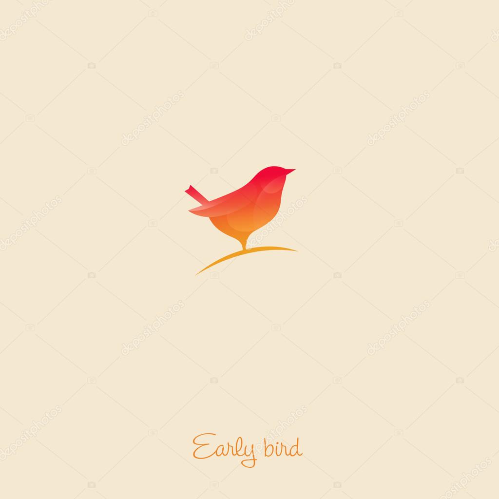 Orange bird, isolated on the light background.