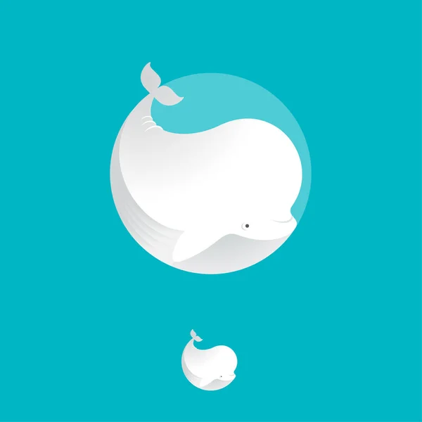 Witte walvis illustratie. Beluga-pictogram — Stockvector