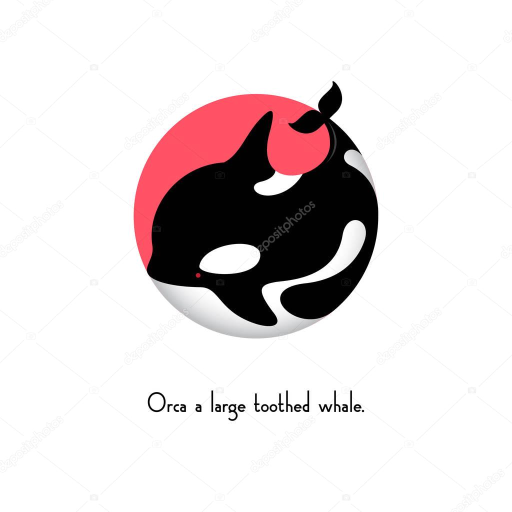 Whale isolated, on a pink circle.
