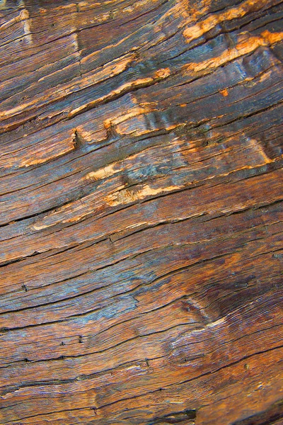 Madeira textura natureza . — Fotografia de Stock