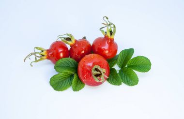 Kalça berry. Dört olgun kırmızı köpek gül yaprakları ile