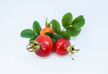 Kalça berry. Üç olgun kırmızı köpek gül yaprakları ile