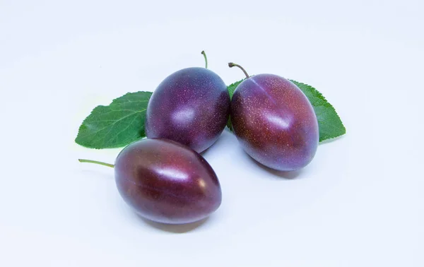 Trois délicieuses prunes mûres isolées sur un fond blanc . — Photo