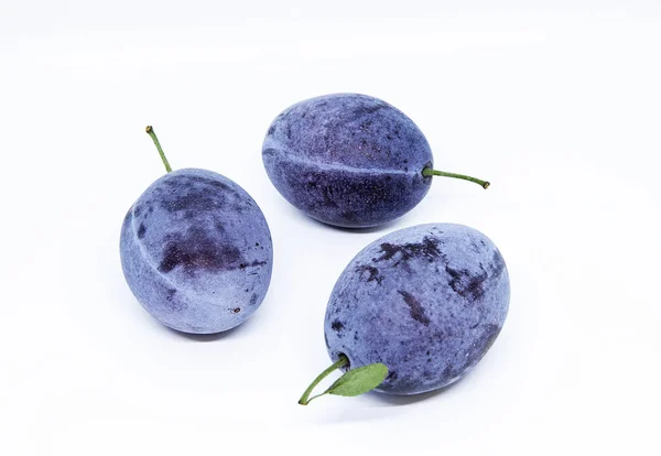 Trois délicieuses prunes mûres à la feuille, isolées sur fond blanc . — Photo