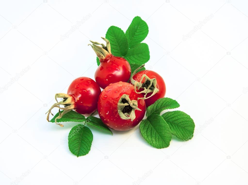 Hip berry. Four ripe red dog rose with leaves. 