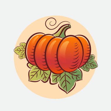 Olgun turuncu balkabağı ve hafif arka planda yaprak. Organik tarım ürünleri. Kabartmalı Resim.