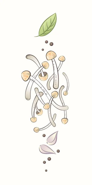Asian Mushrooms Illustration Fresh Enoki Shimeji Mushrooms Spicy Basil Leaf — Stock Vector