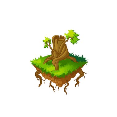 Stump, kesilen ağaçların göl kenarında