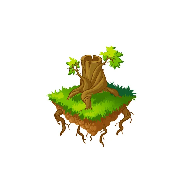 Pařez, pokácených stromů izolovaná — Stockový vektor