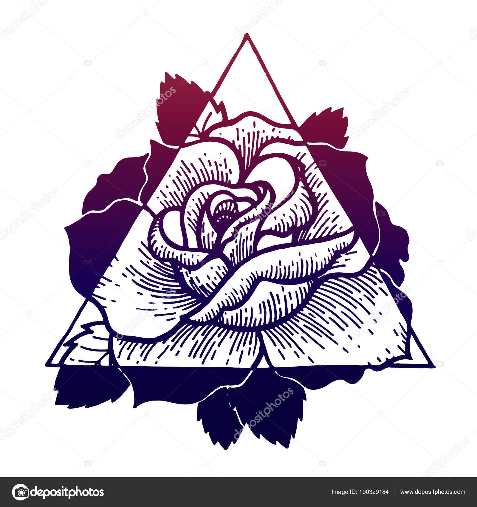 Rose Fleur Avec Le Cadre De La Géométrie Sacrée Image