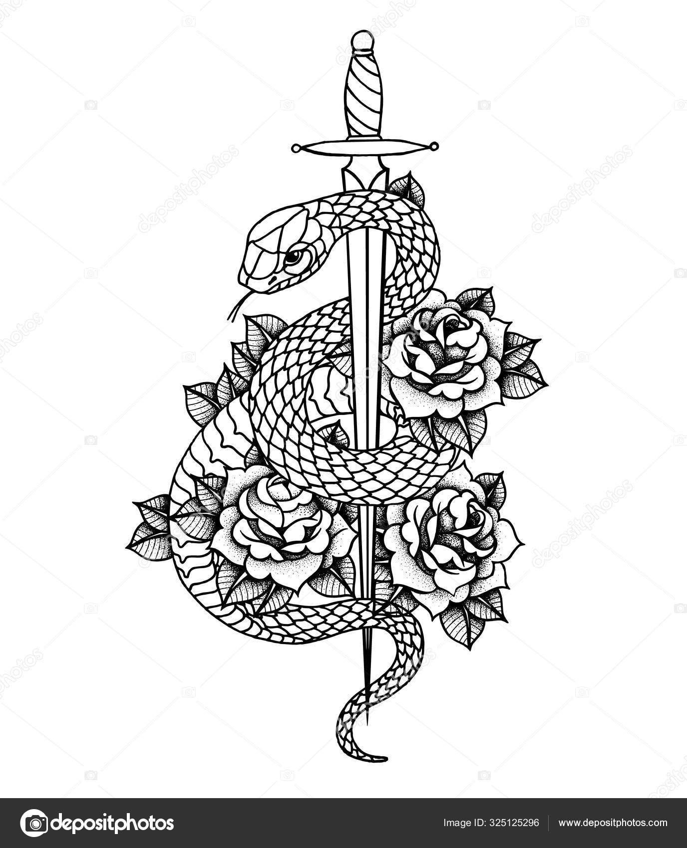 Tattoo with roses and snake, sword and dagger. Stock Vector Image by ©@ #325125296 Tattoo with roses and snake, sword and dagger. Stock Vector Image by ©@ #325125296
