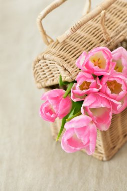 parlak pembe laleler