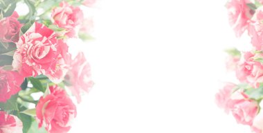 kırmızı gül buketi 