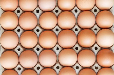 Yakın yumurta kontör, görünümü