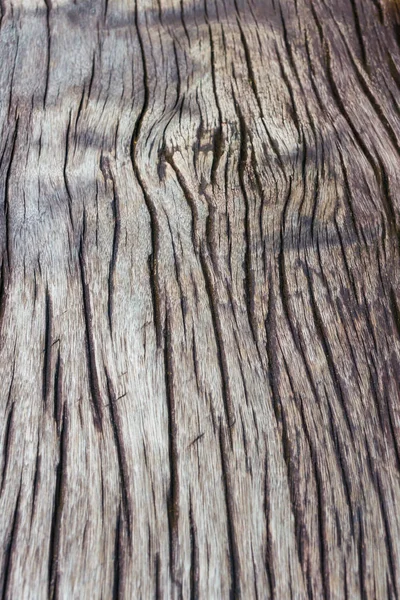 Madera vieja superficie, detalle de la corteza — Foto de Stock