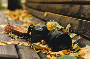 doğa dünya yakınındaki 