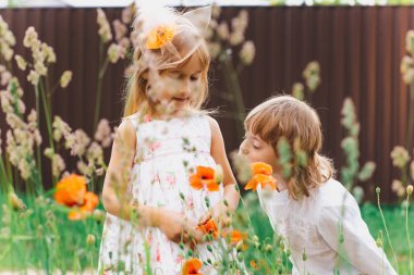 Dosya başarıyla karşıya yüklendi.