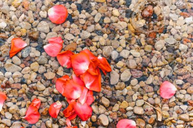 Plaj ve küçük taşlar