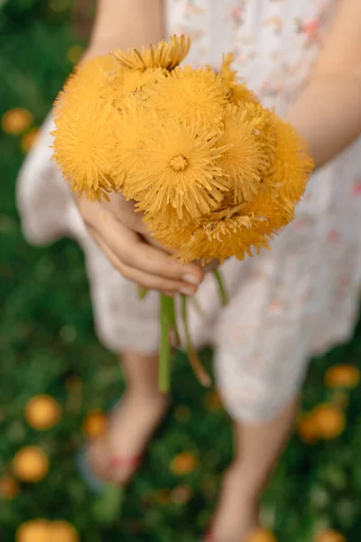 Open Lucht Lente Het Meisje Paardenbloemen Portret — Stockfoto