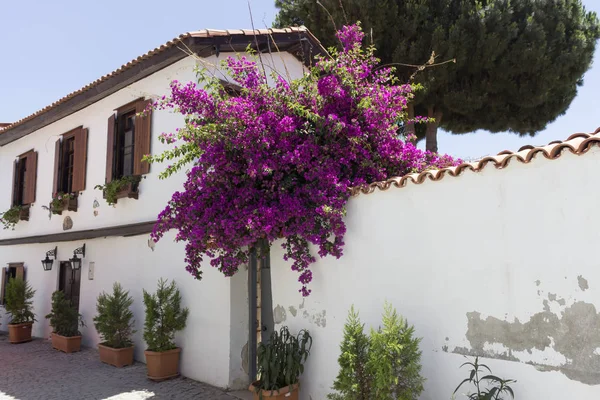 Sigacik Village - Izmir - Turquía — Foto de Stock