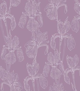 Çiçekler Dikişsiz desen arka plan hat illüstrasyon Iris. Çiçek tasarım öğeleri.