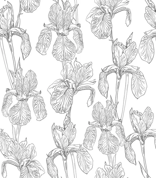 Blumen nahtlose Muster Hintergrund Linie Illustration Iris. Florales Gestaltungselement. — Stockvektor