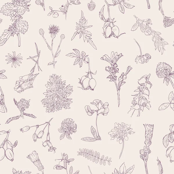 Wildblumen Beeren nahtlose Muster handgezeichnet Vektor botanische Illustration Hintergrund Heckenrose, Klette, Kräuter — Stockvektor