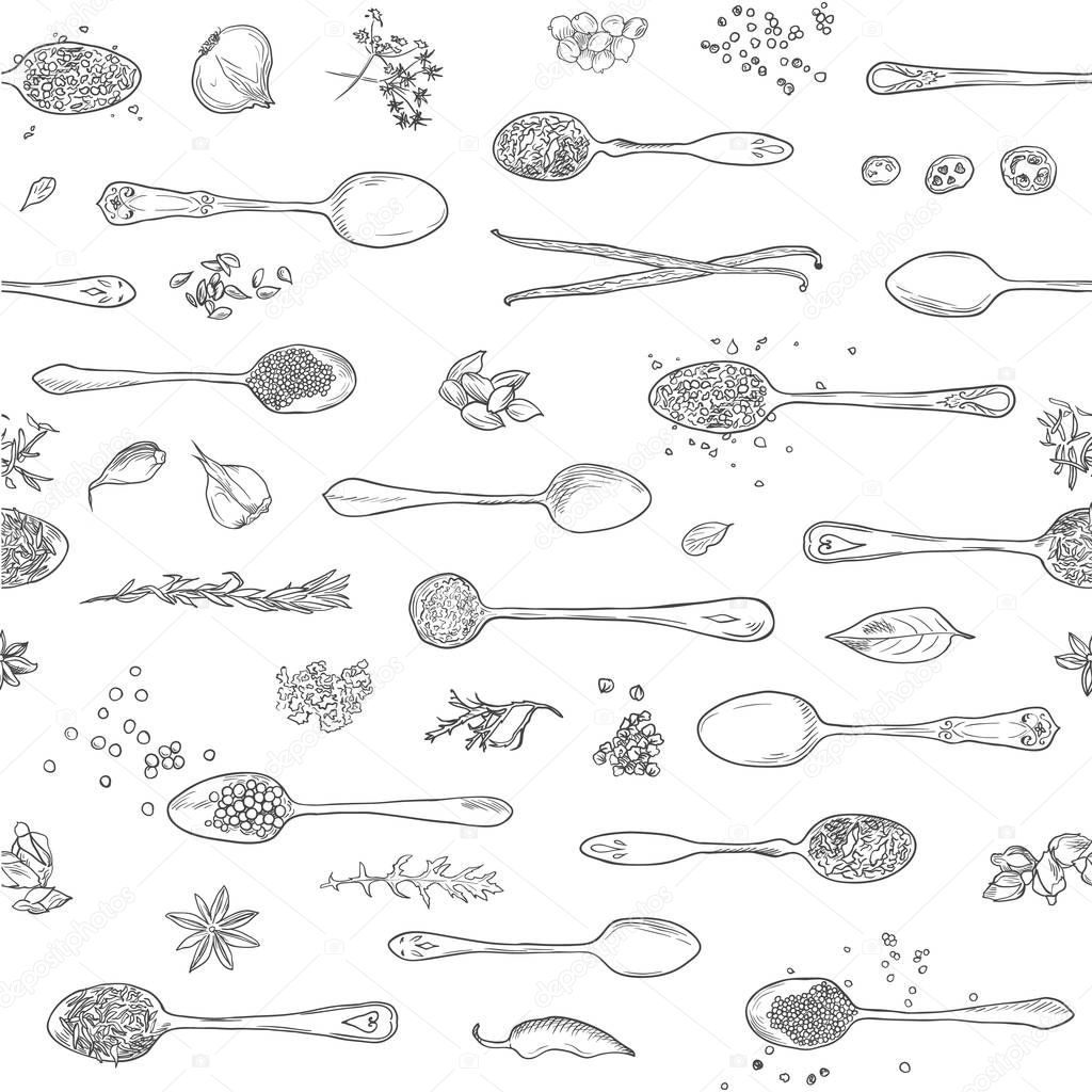 Spices, condiments background. Organic and fresh herbs. Hand drawn spoons, aromatic plants sketch. Kitchen template